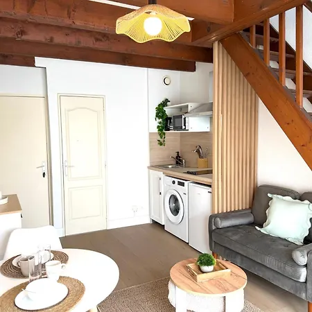 Le Duplex Jean Jaures Avec Clim Et Parking Agen