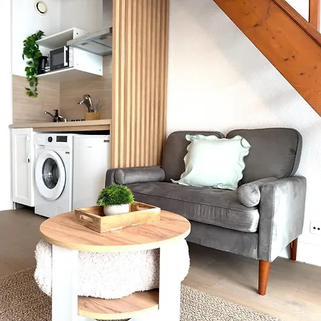 Le Duplex Jean Jaures Avec Clim Et Parking *